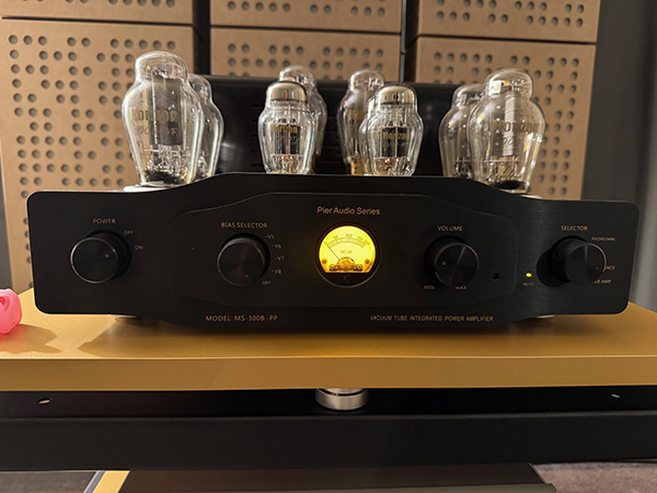  060226.stphwarsawPure AudioAudiotheonPierAudio amp1.jpg